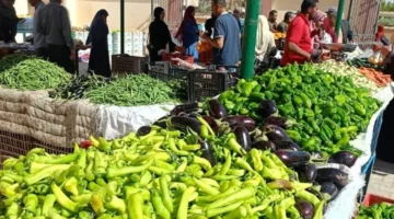 تذبذب ملحوظ في أسعار الخضروات والفاكهة بأسواق الوادي الجديد